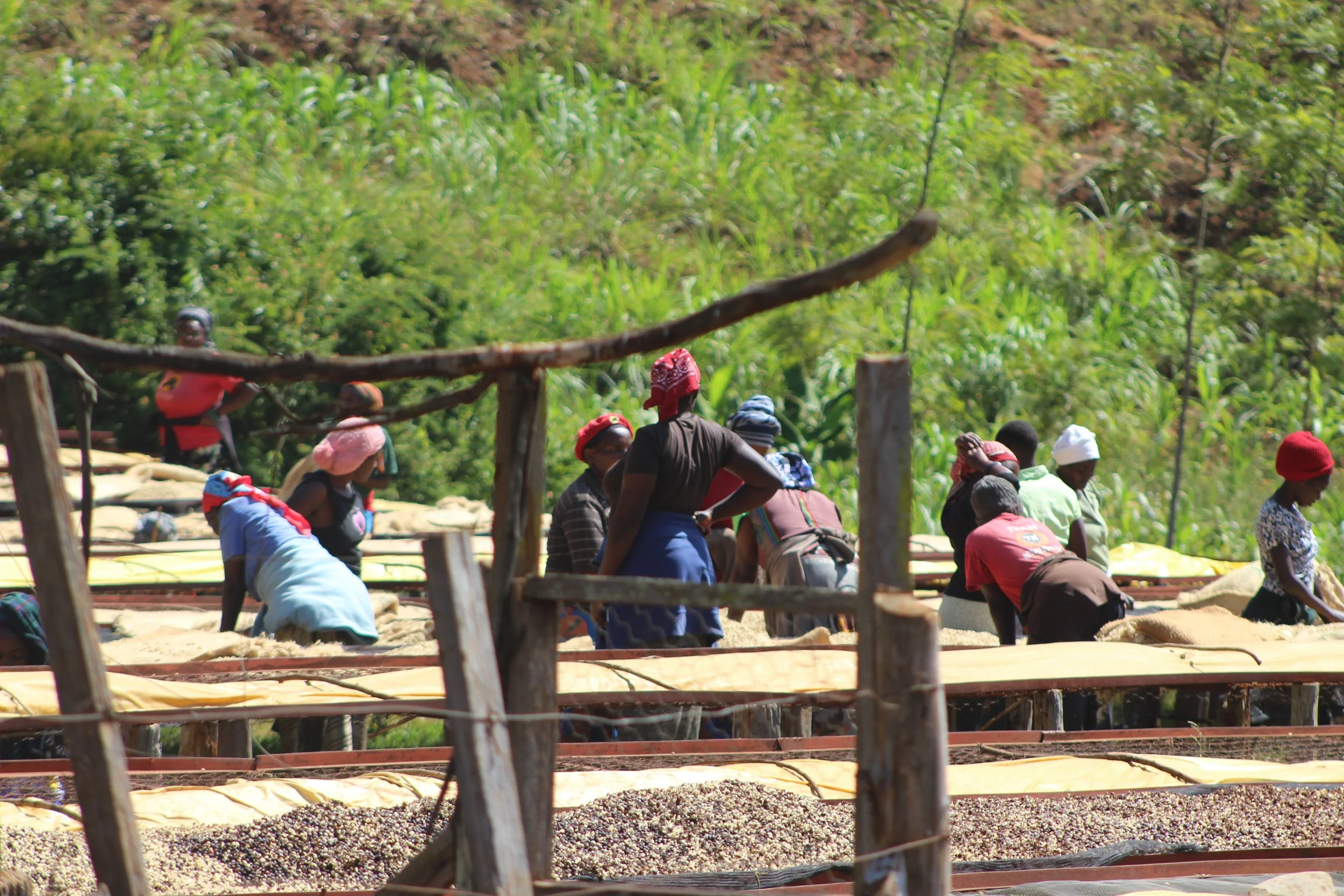 Gachatha Factory Workers 18.1.2018.JPG.jpg