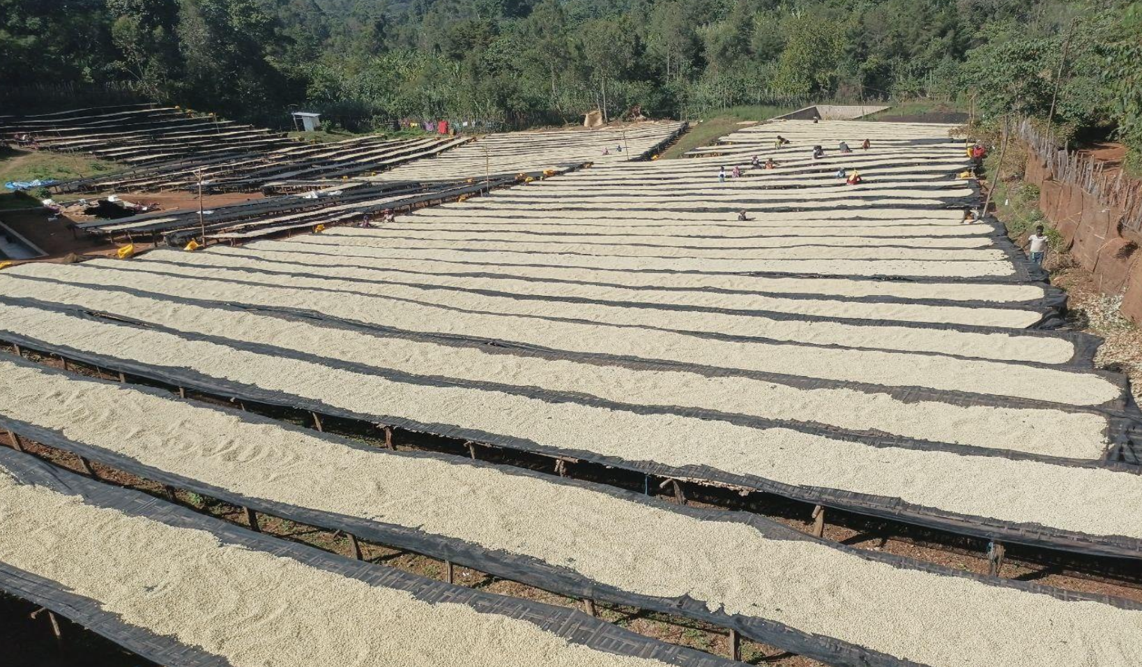 Captura de pantalla 2025-03-17 a la(s) 16.47.00.png