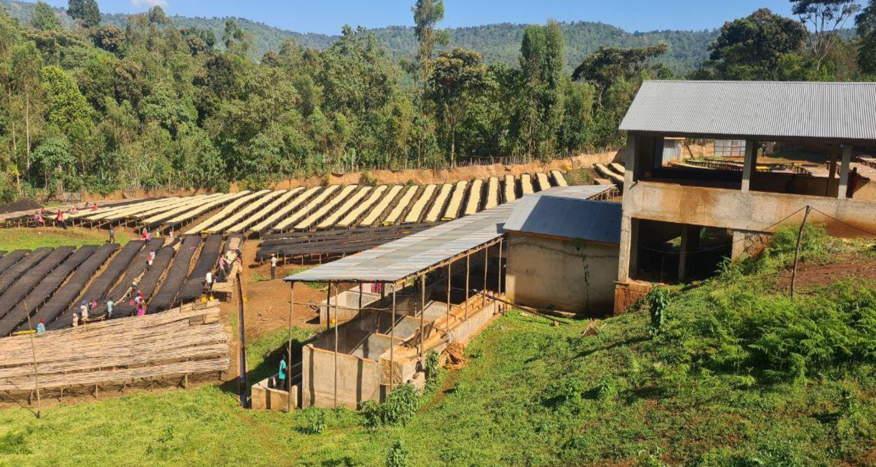 Captura de pantalla 2025-03-17 a la(s) 16.47.09.png