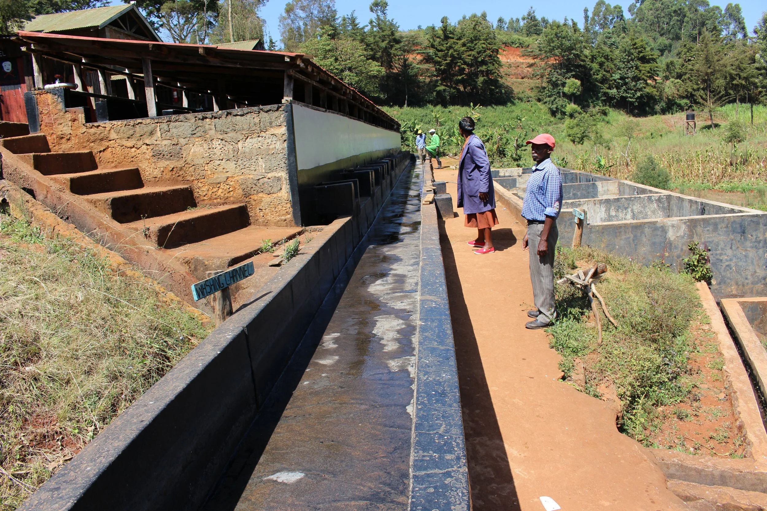 Gachatha Factory Washing channels 18.1.2018.JPG.jpg