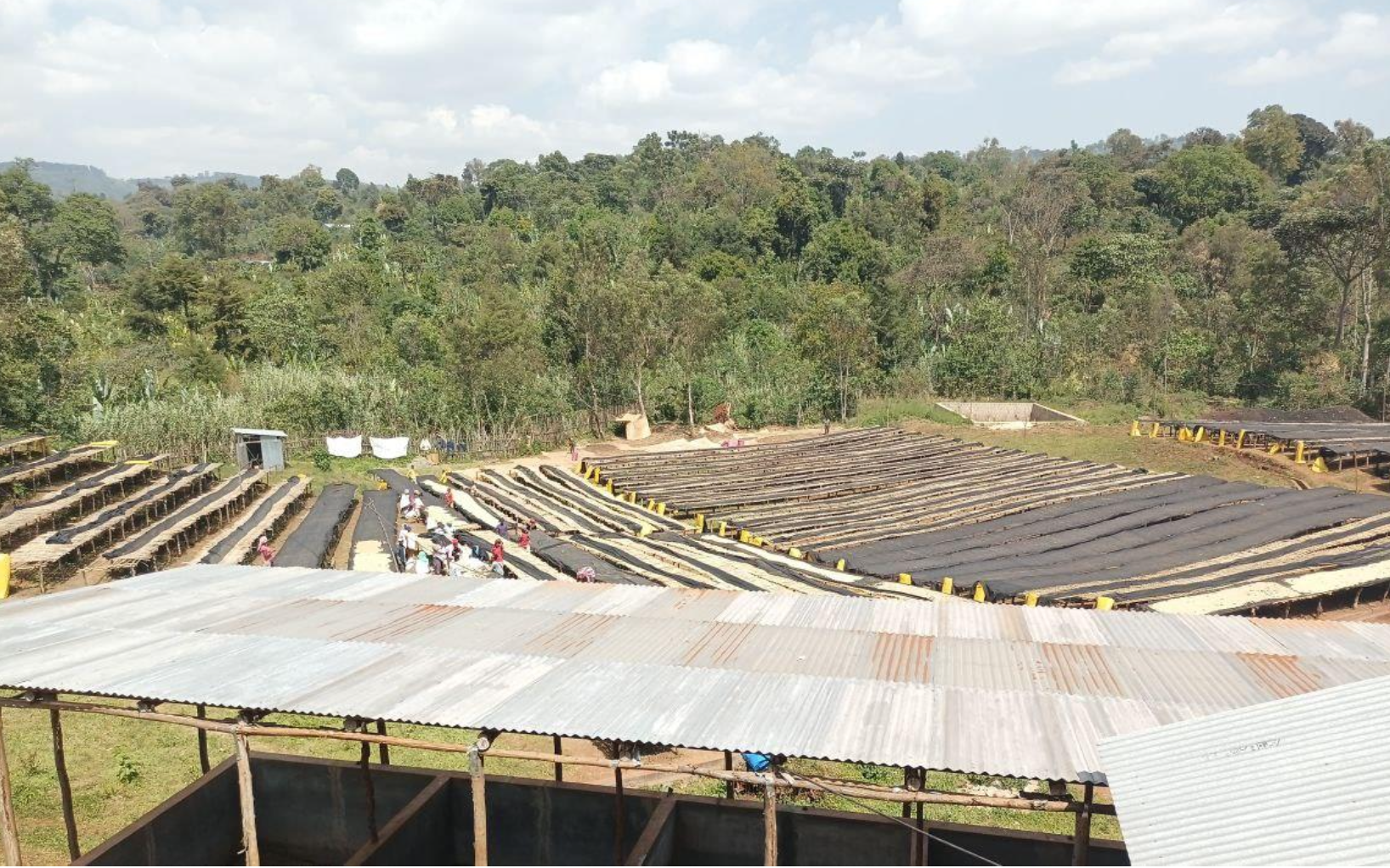 Captura de pantalla 2025-03-17 a la(s) 16.46.52.png