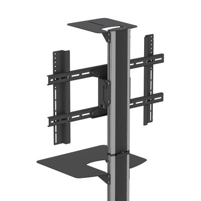 PMVTROLLEYVCBUN(2).jpg