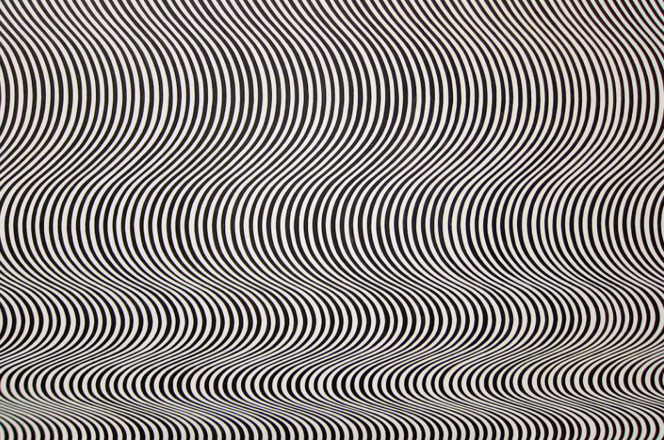 Fall, Bridget Riley, 1963.
