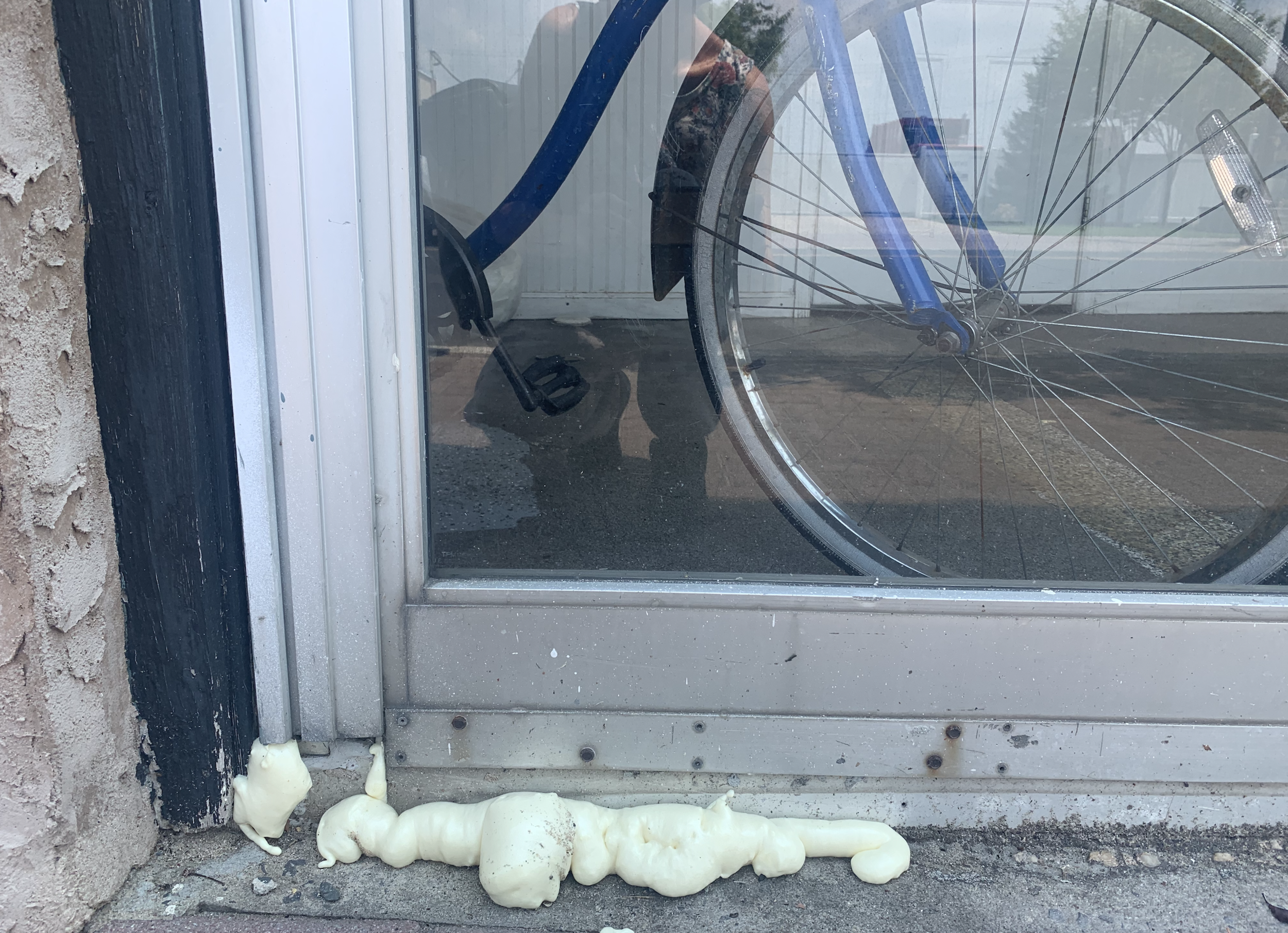 bike foam window.png