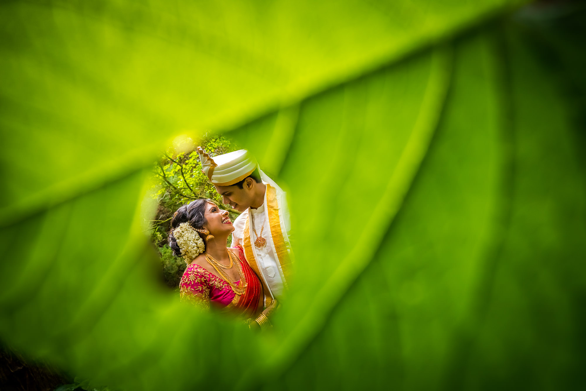 Hindu Tamil Wedding