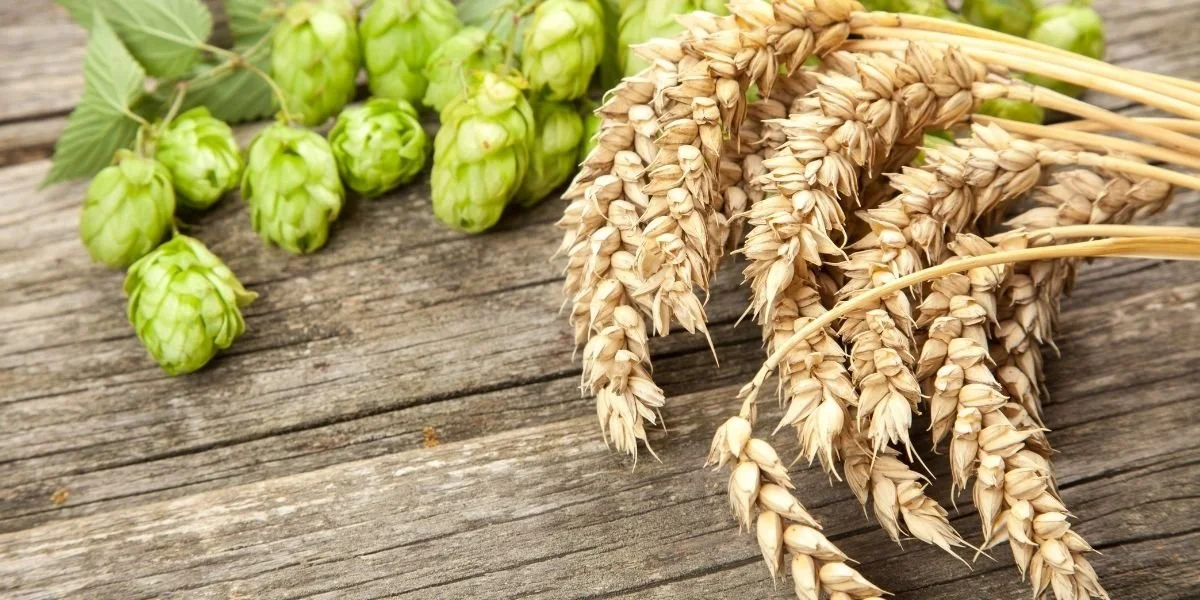 Taste of Iowa Brewing: Craft Beer Blog Coming Feb. 2022!