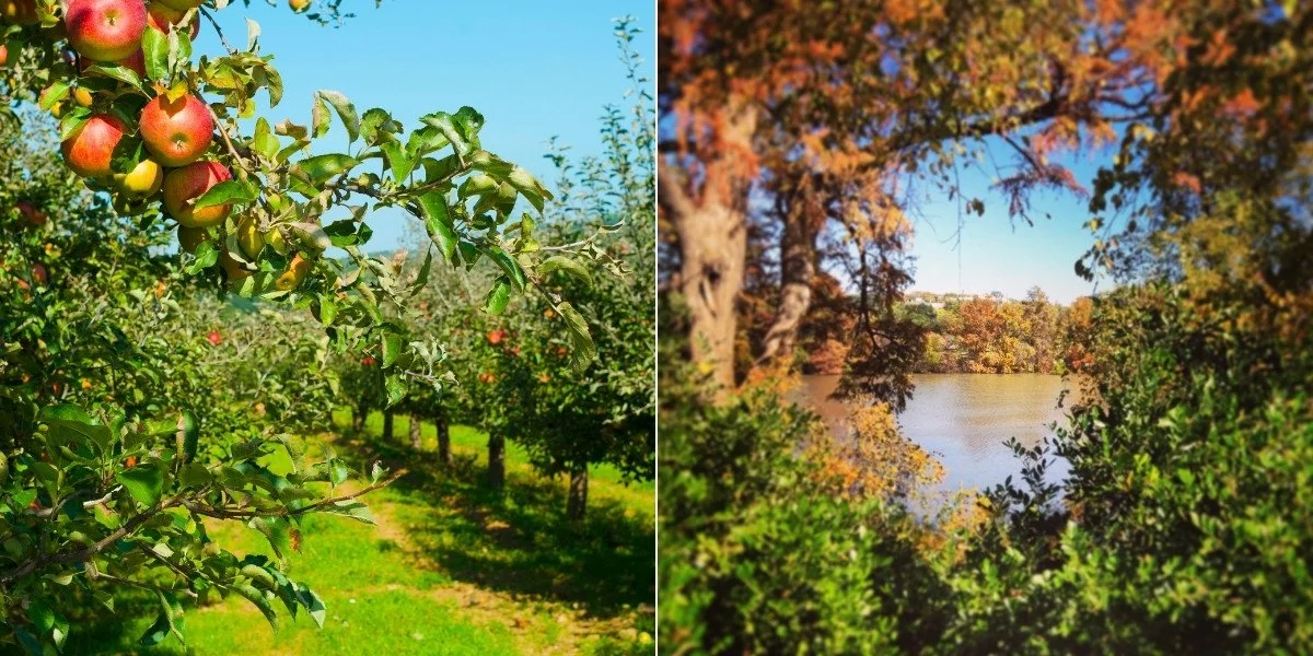 5 Must-Visit Fall Attractions in Eastern Iowa