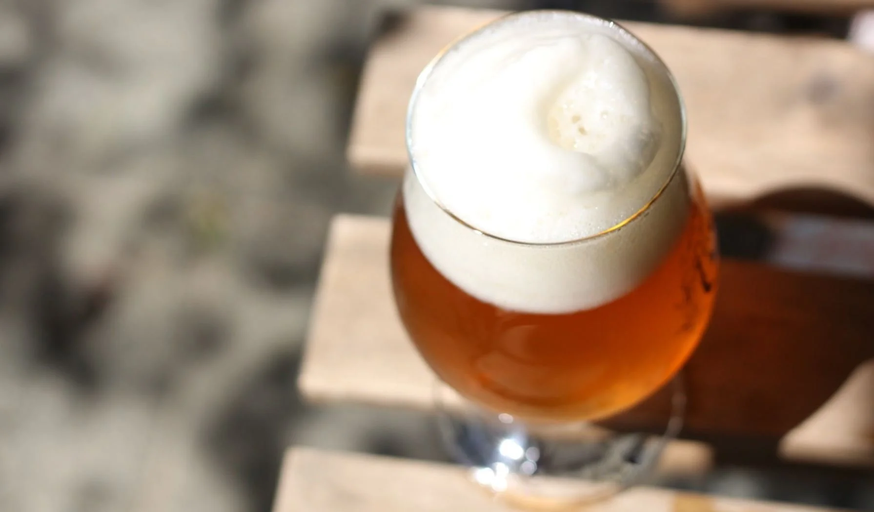 What Is a Cold IPA and Why Is It Popular in 2023?