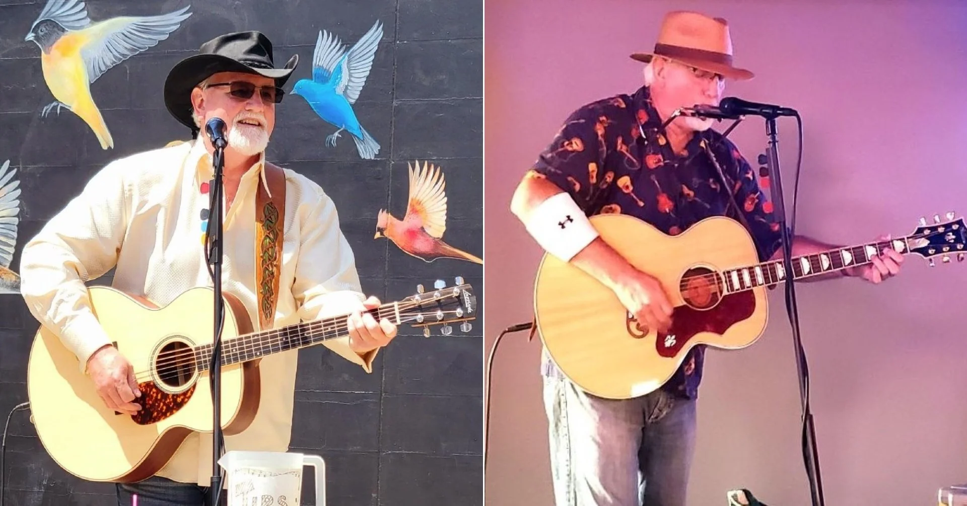 Terry McCauley Acoustic 60's/70's Pop/Rock