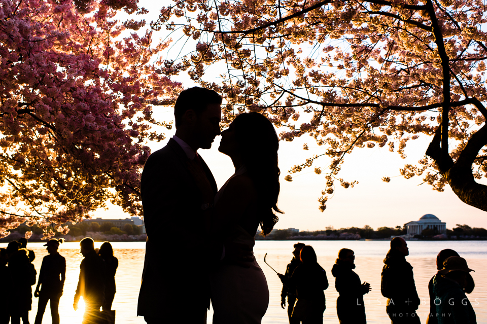 Cherry Blossom Washington, DC Engagement Session