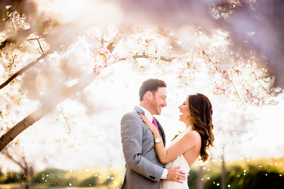 Cherry Blossom Washington, DC Engagement Session