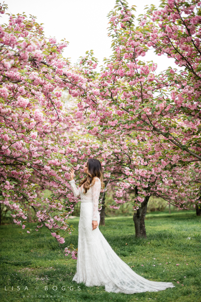 Nicole's DC Cherry Blossom Bridal Portraits 