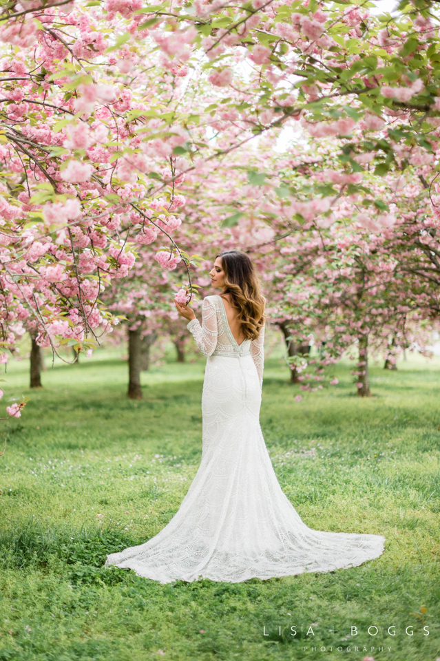 Nicole's Cherry Blossom Washington, DC Bridal Portraits // Lisa Boggs ...