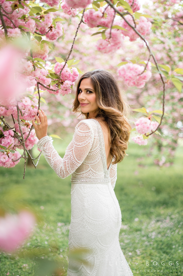 Nicole's DC Cherry Blossom Bridal Portraits