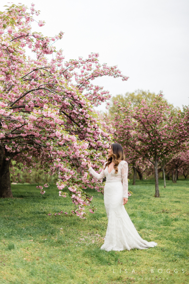 Nicole's DC Cherry Blossom Bridal Portraits 