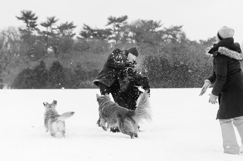 Arielle & Hugh's Snowy DC Engagement Photos