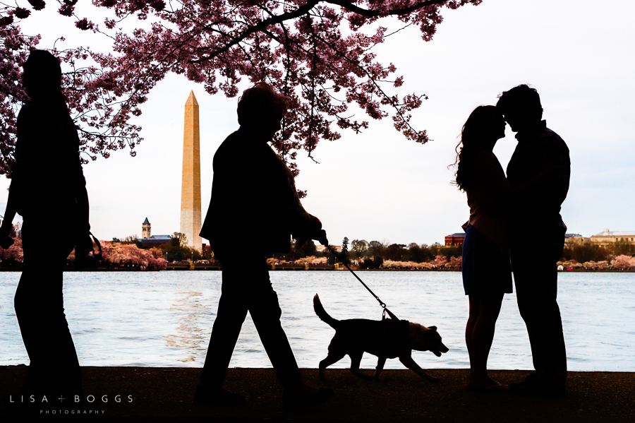c&p_cherry_blossom_engagements_lisa_boggs_photography_13.jpg