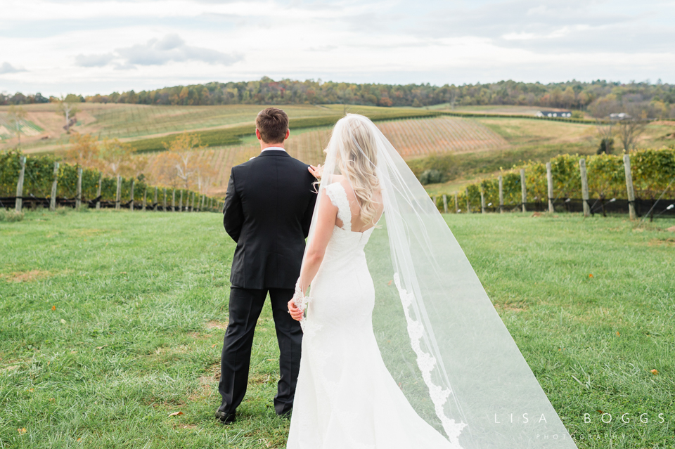 Amy and Ryan's Vineyard Wedding at Stone Tower Winery in Norther