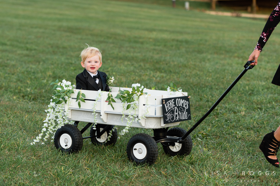 Amy and Ryan's Vineyard Wedding at Stone Tower Winery in Norther