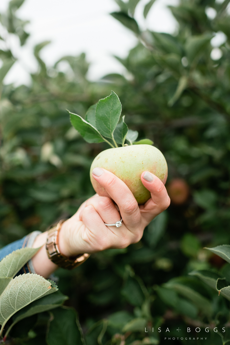 Jessica & Tom's Autumn Inspired Larriland Farm Engagement Sessio