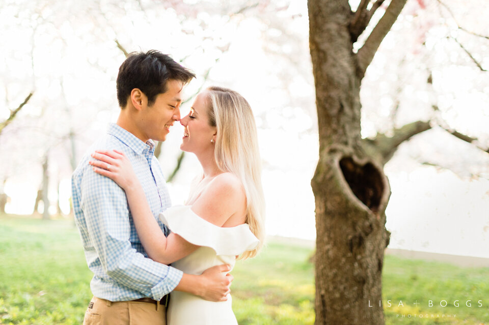 Jessica & Andrew’s DC Cherry Blossom Engagement Photos - Washi