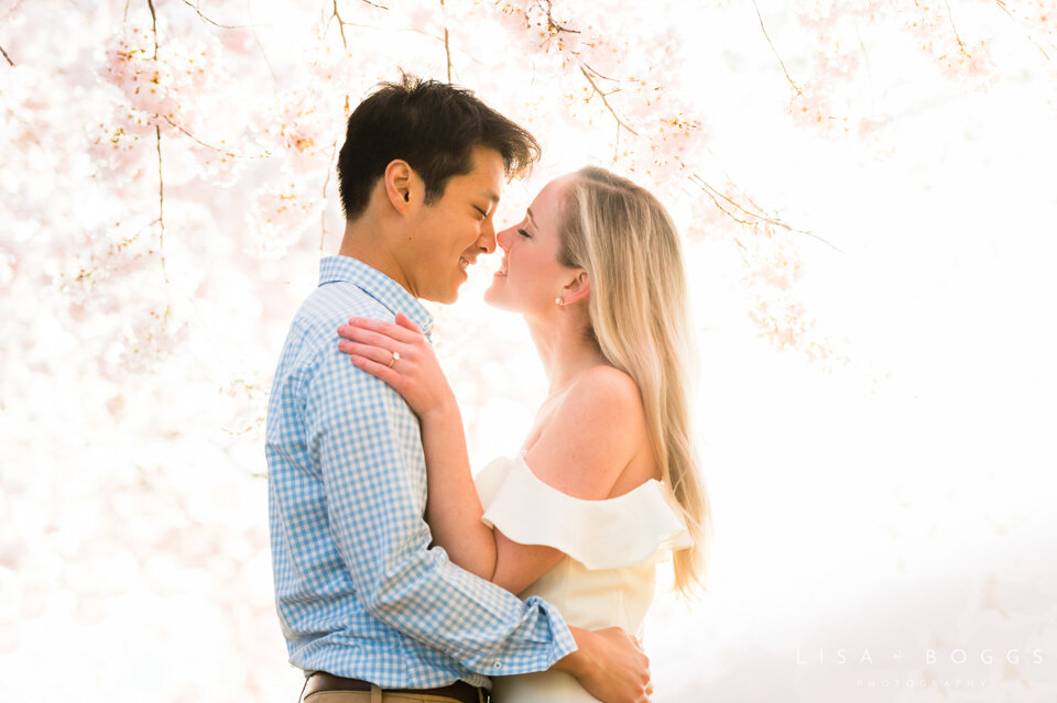 Jessica & Andrew’s DC Cherry Blossom Engagement Photos - Washi