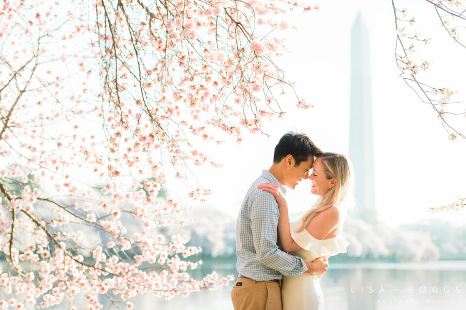 Jessica & Andrew’s DC Cherry Blossom Engagement Photos - Washi