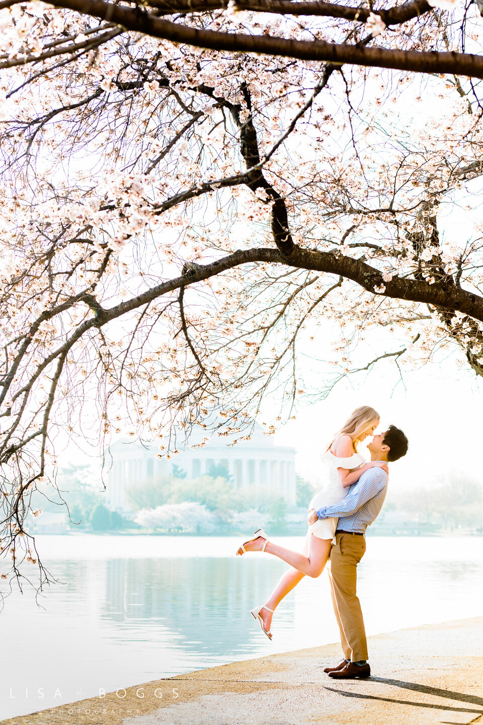 Jessica & Andrew’s DC Cherry Blossom Engagement Photos - Washi