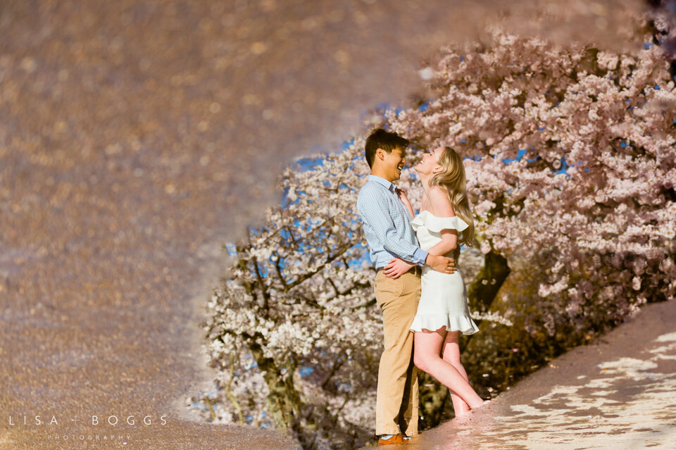 Jessica & Andrew’s DC Cherry Blossom Engagement Photos - Washi