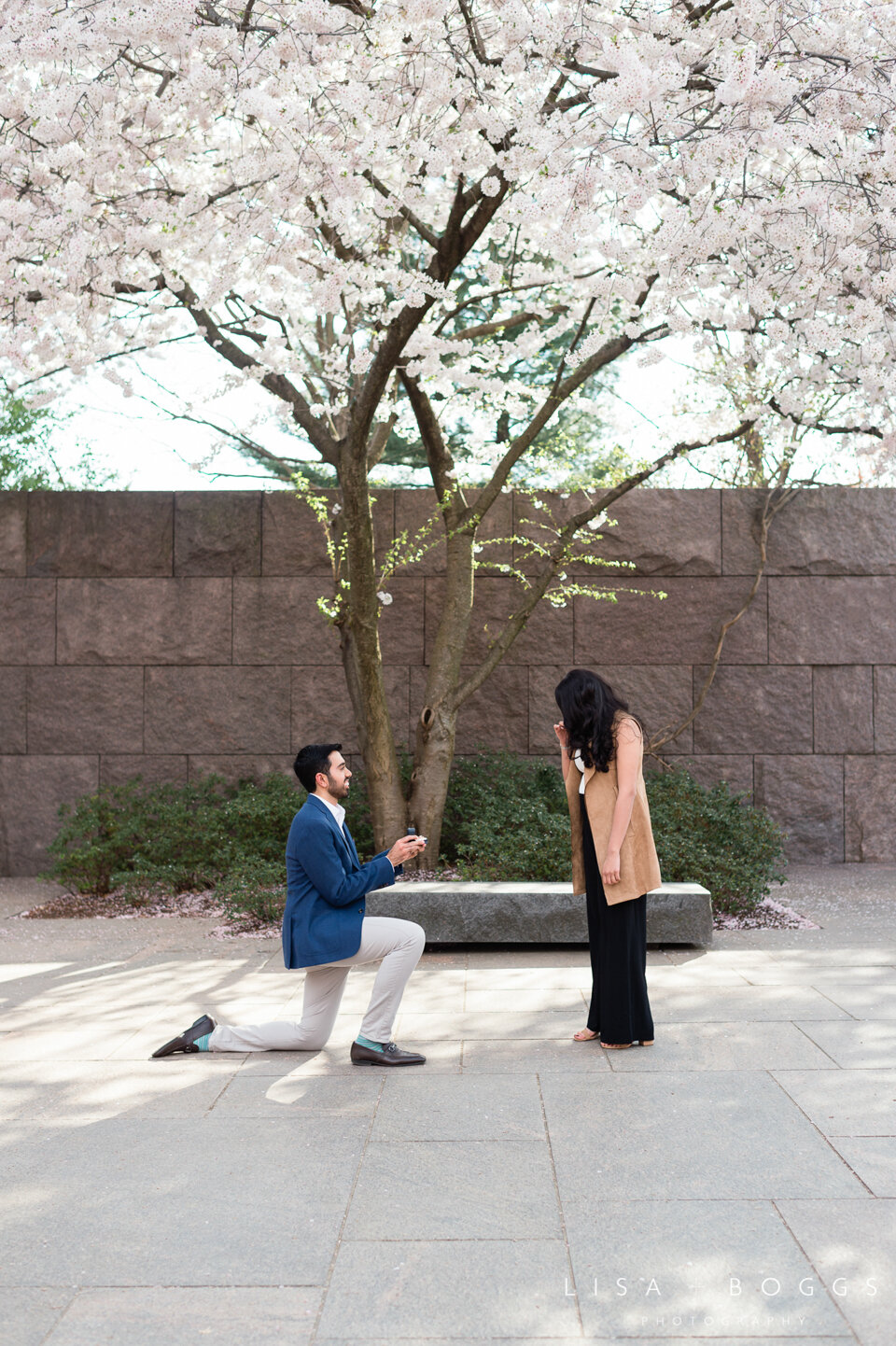 a&k-dc-cherry-blossom-proposal-engagement-photos-washington-dc-cherry-blossoms-03.jpg
