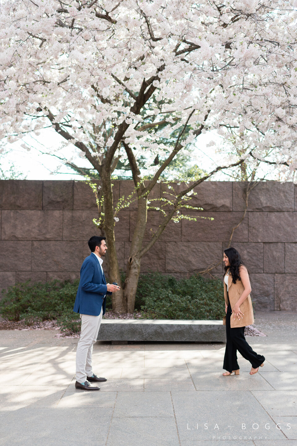 a&k-dc-cherry-blossom-proposal-engagement-photos-washington-dc-cherry-blossoms-02.jpg