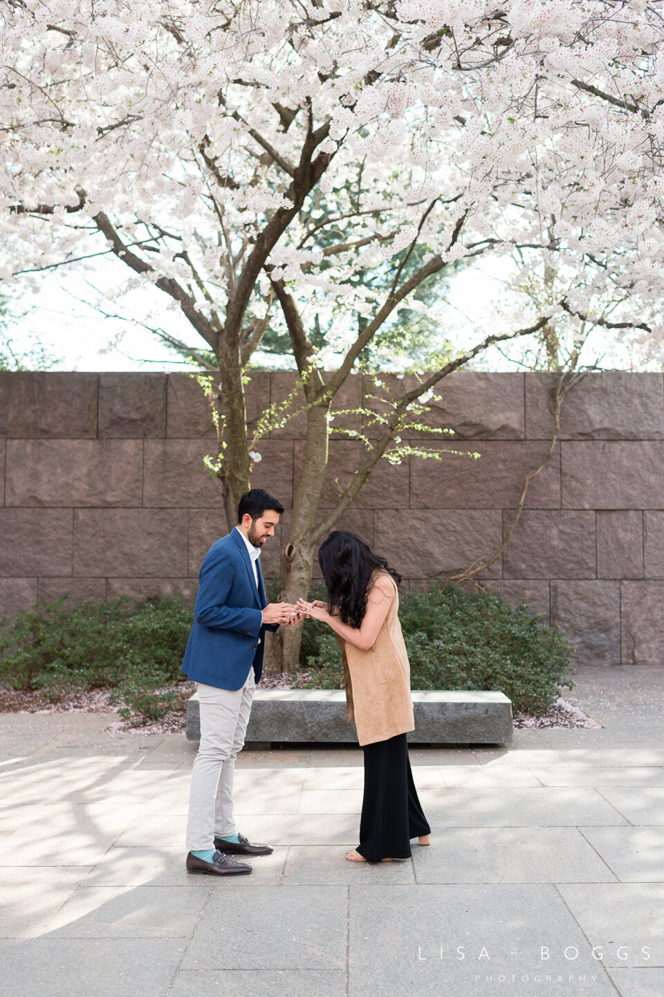 a&k-dc-cherry-blossom-proposal-engagement-photos-washington-dc-cherry-blossoms-04.jpg