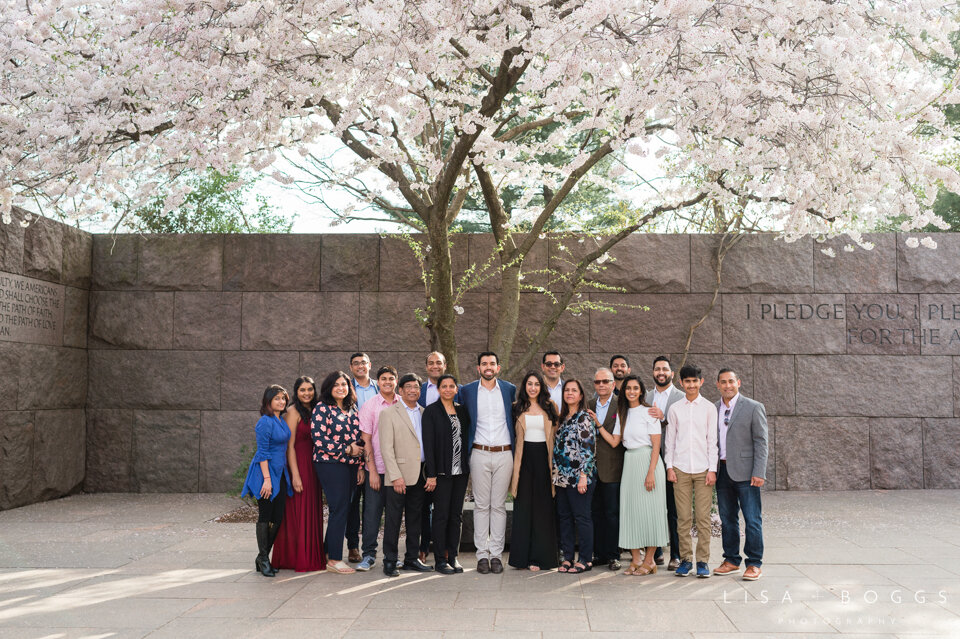 a&k-dc-cherry-blossom-proposal-engagement-photos-washington-dc-cherry-blossoms-11.jpg