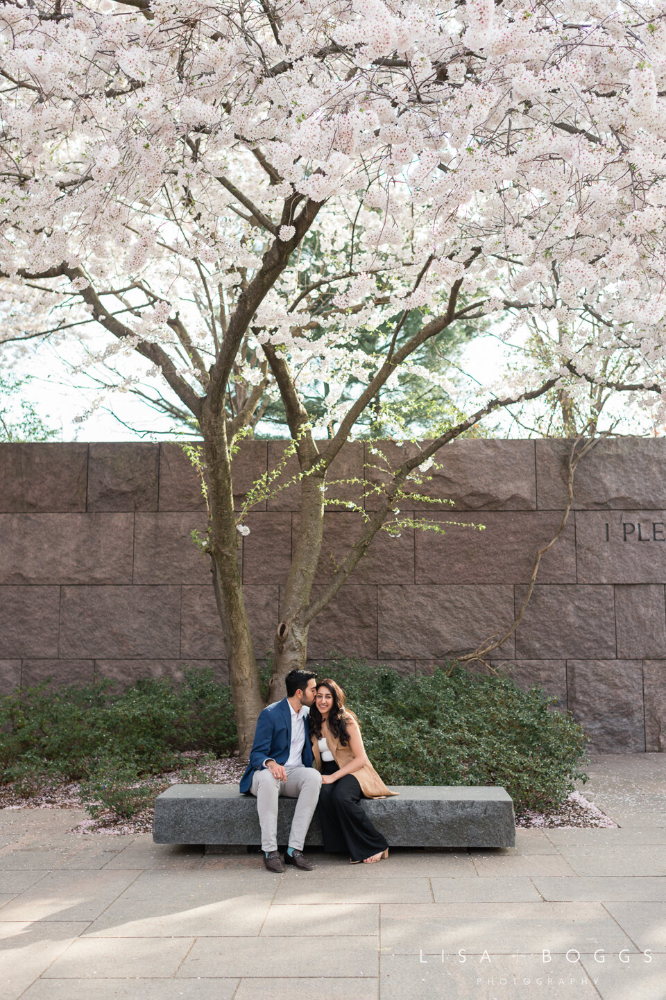 a&k-dc-cherry-blossom-proposal-engagement-photos-washington-dc-cherry-blossoms-12.jpg