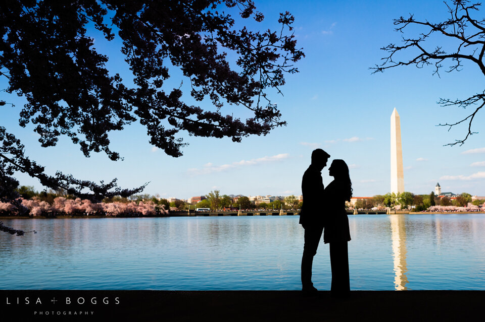 a&k-dc-cherry-blossom-proposal-engagement-photos-washington-dc-cherry-blossoms-14.jpg