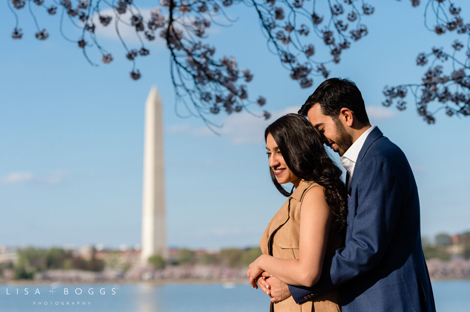 a&k-dc-cherry-blossom-proposal-engagement-photos-washington-dc-cherry-blossoms-15.jpg