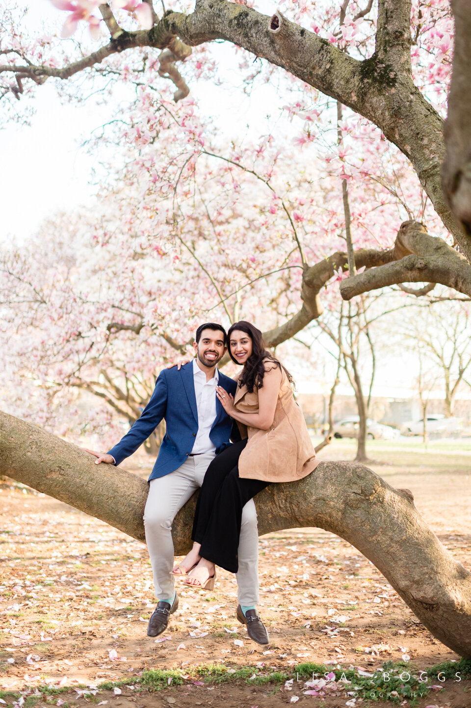 a&k-dc-cherry-blossom-proposal-engagement-photos-washington-dc-cherry-blossoms-16.jpg