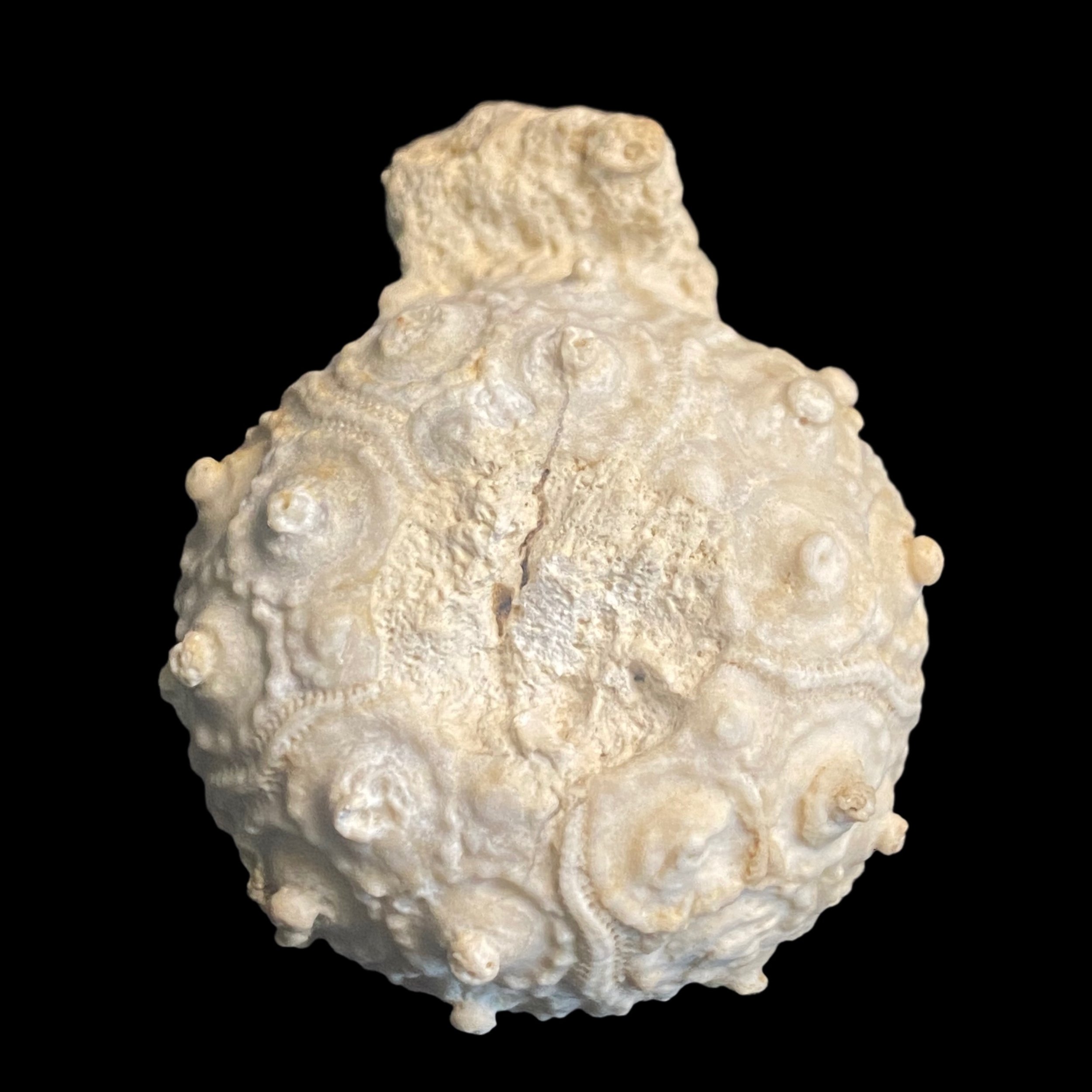 700-2299.JPG