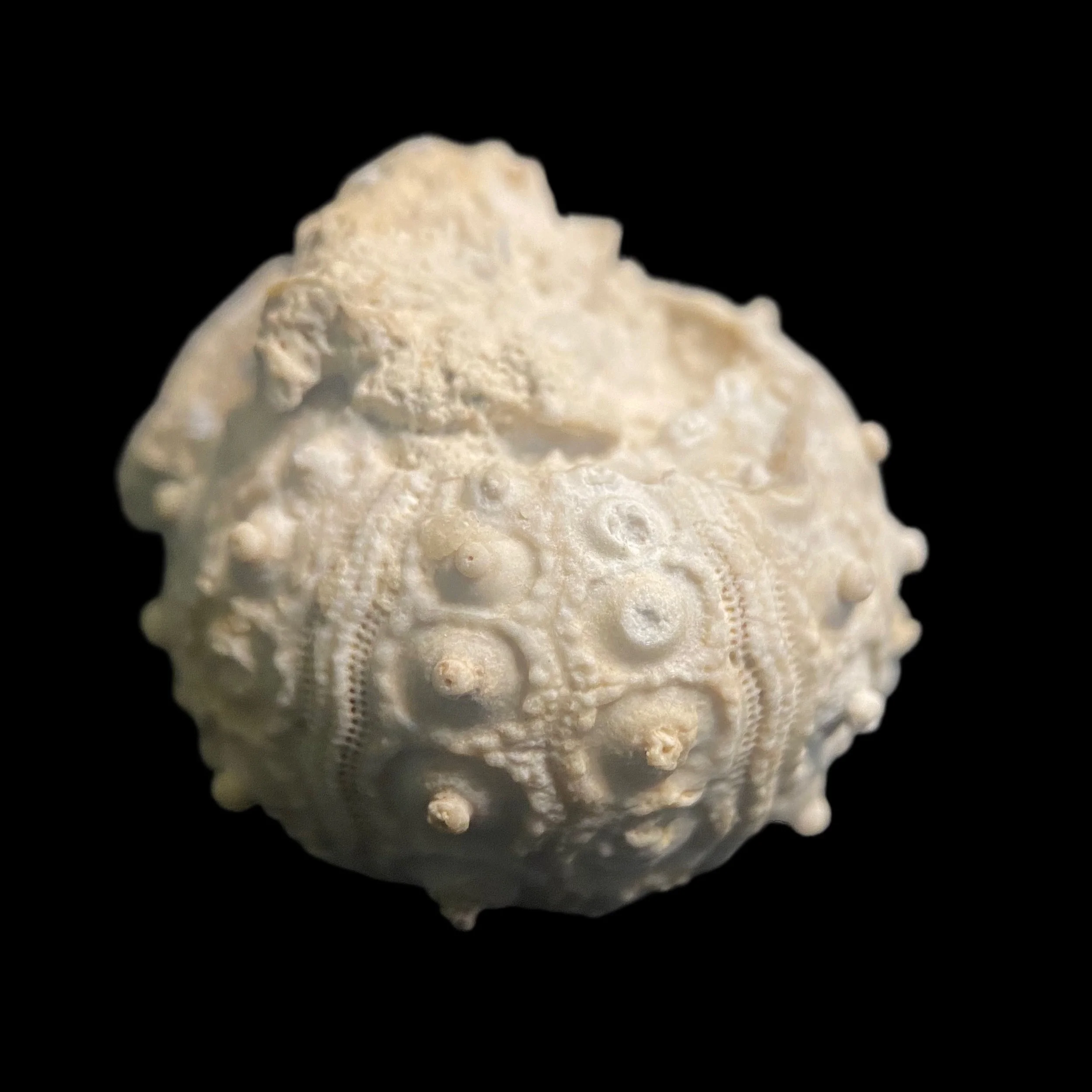 700-2299 (1).JPG