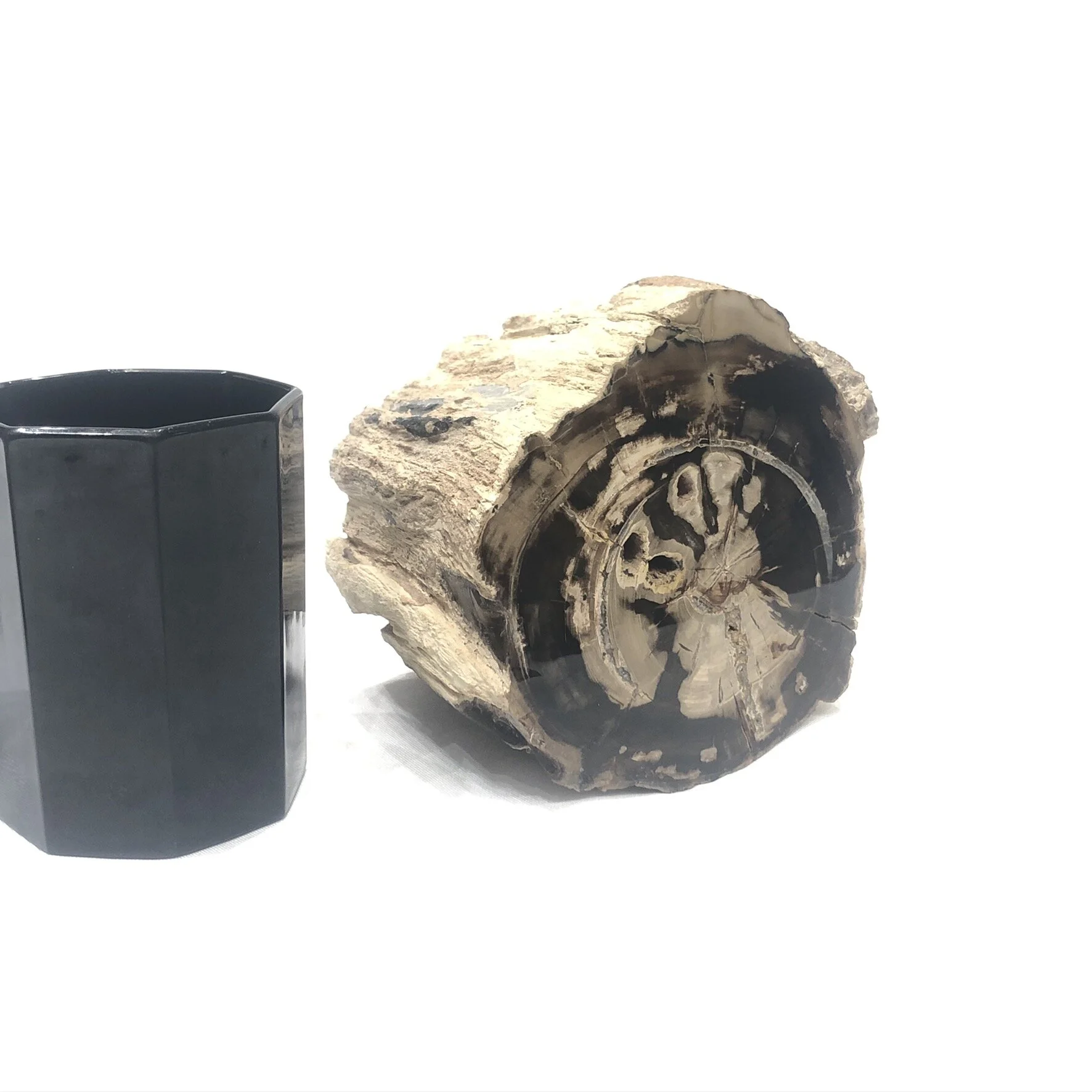 McDermitt Petrified Wood