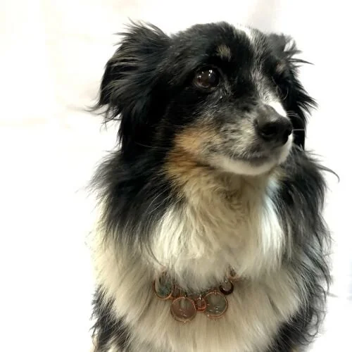 Adding A Little Sparkle