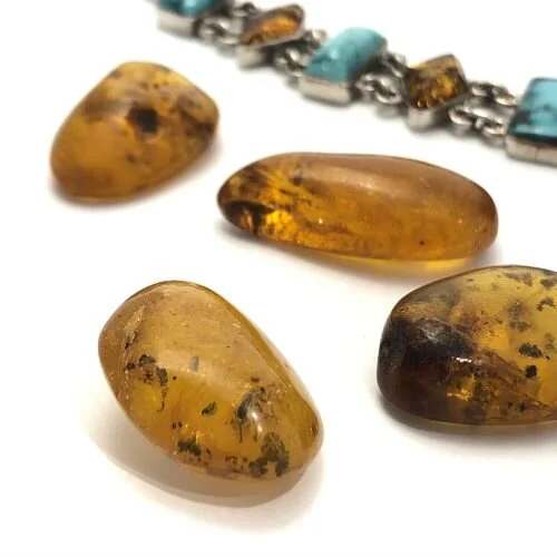 What Is Hiding Around?