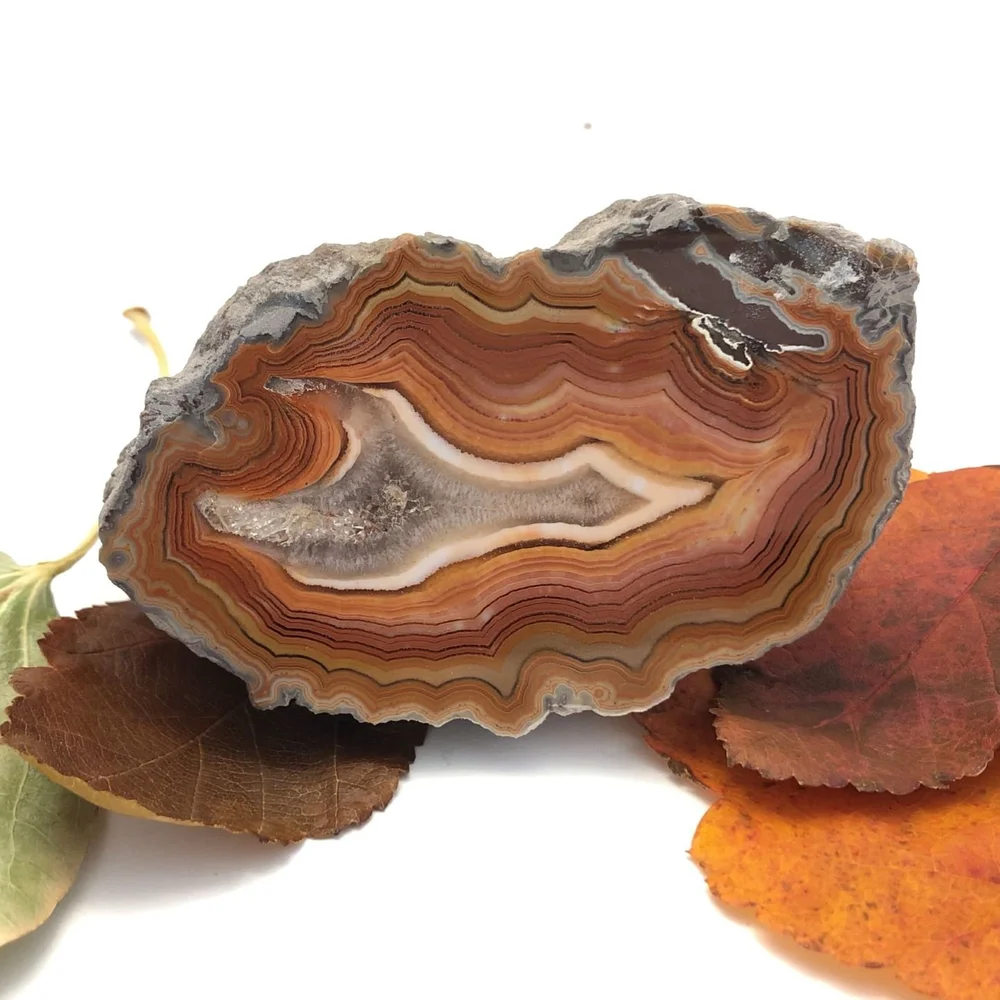 Montana Dryhead Agate Specimen — The Jewel