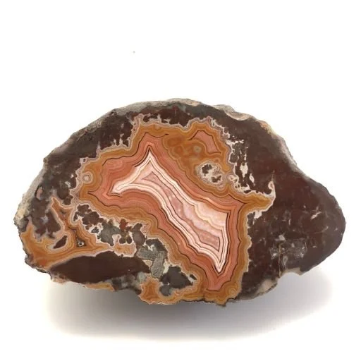 Montana Dryhead Agate Specimen