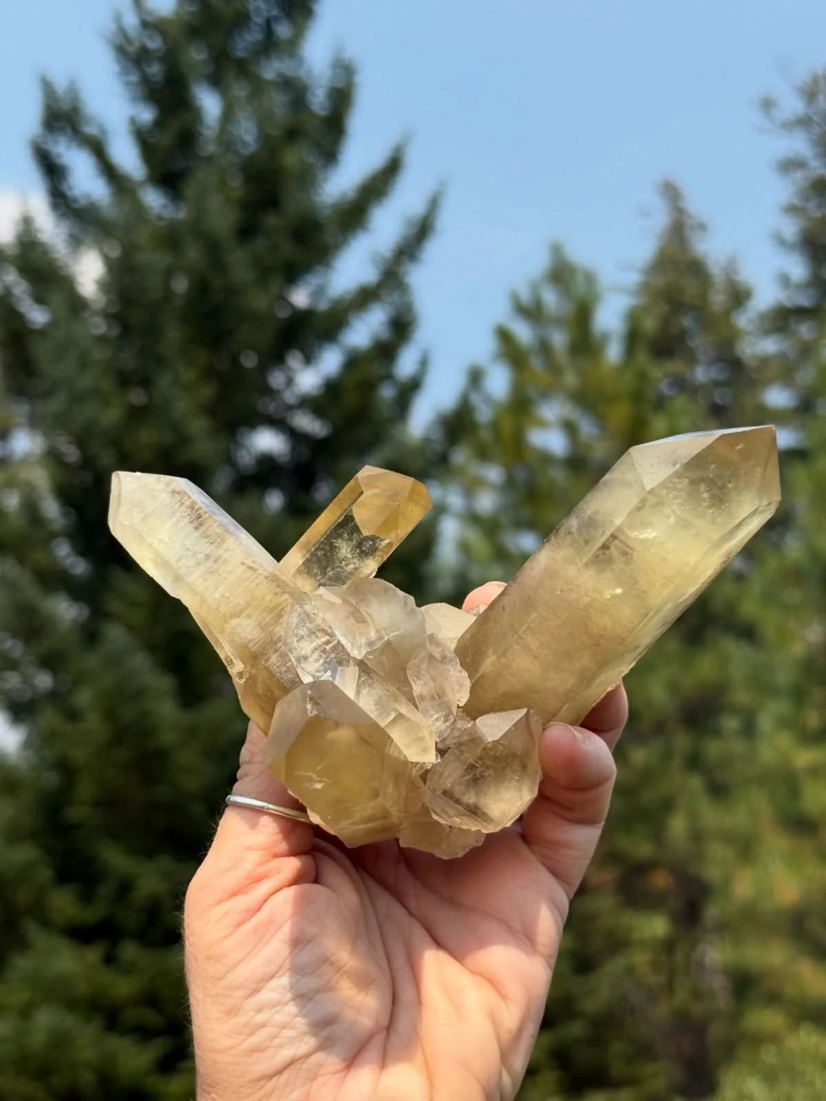 It&rsquo;s November, and citrine rules this month! From light yellows like a soft straw tone, to vibrant oranges perfectly suited for autumn, citrine offers a host of fall shades. This is an unheated natural citrine cluster, one of three available he