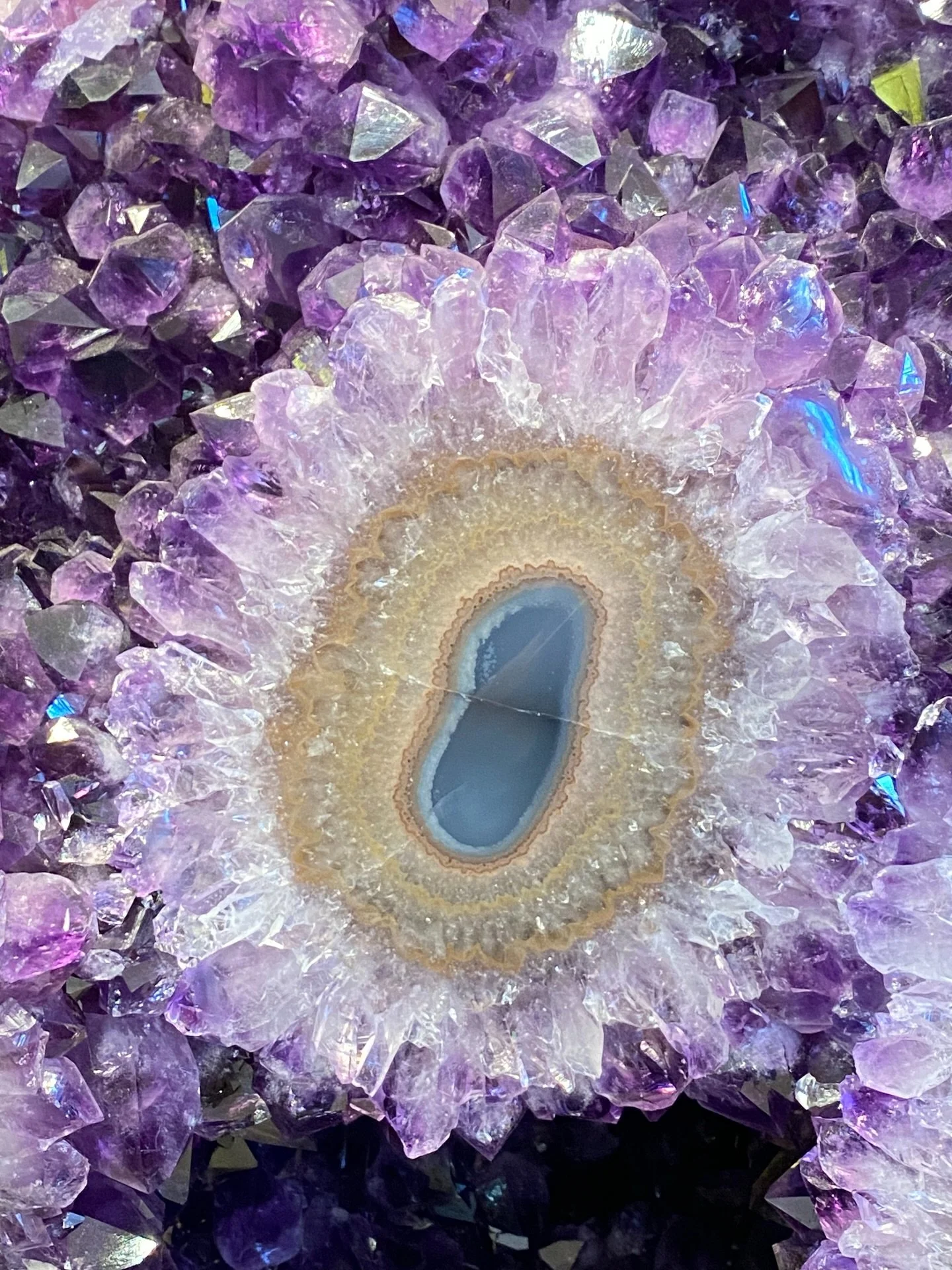 February is the month of amethyst! Here is a close up of one of our gorgeous specimens from Uruguay, with the stalactite slice showing the beautiful agate center. This is one of many lovely mineral specimens we have available in the gallery, amongst 