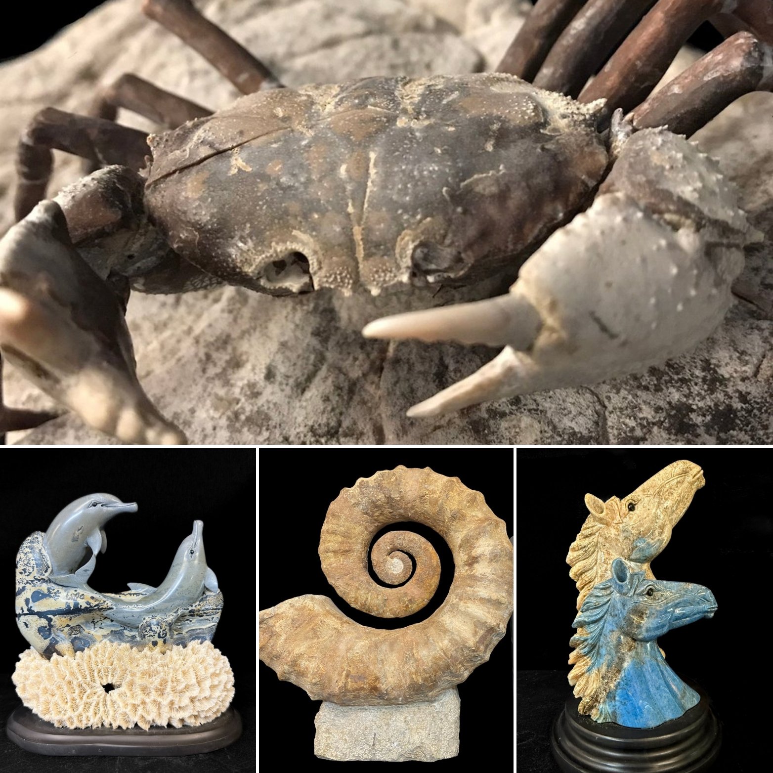 Minerals and Specimens