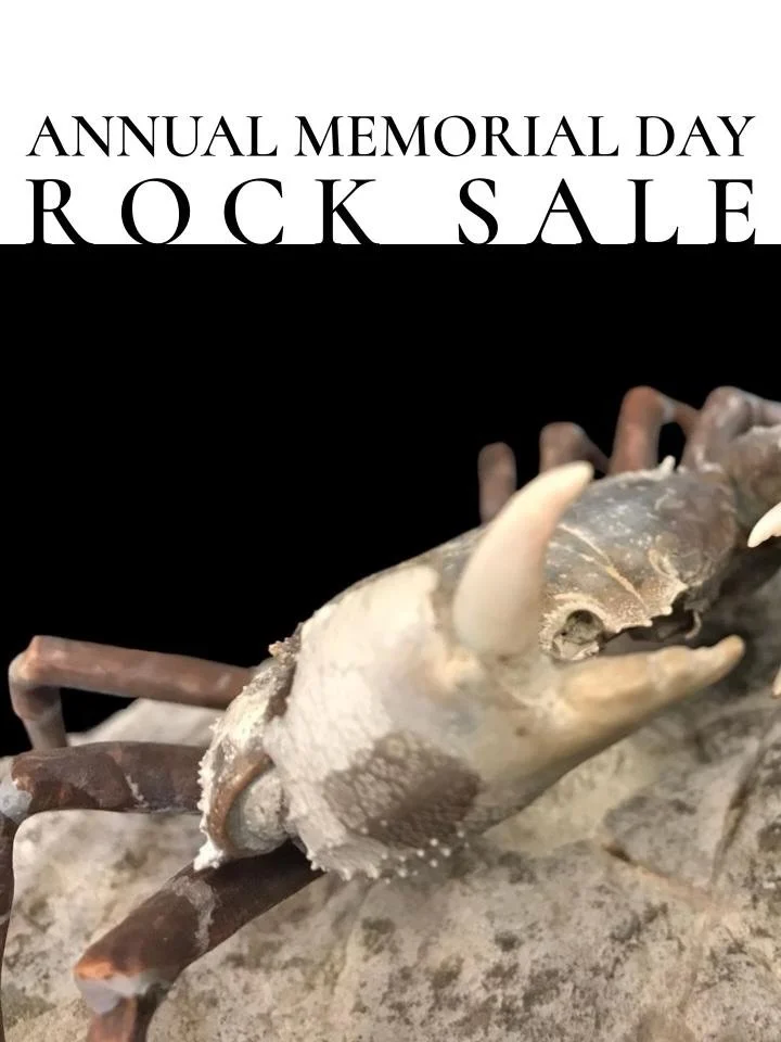 Memorial Day Weekend Rock and Fossil Sale in Sisters! 🪨 🦴 

Calling all rockhounds, collectors, crystal lovers, and curious explorers! This Memorial Day weekend, stop by our small town shop in beautiful Sisters, Oregon for special savings on rocks,