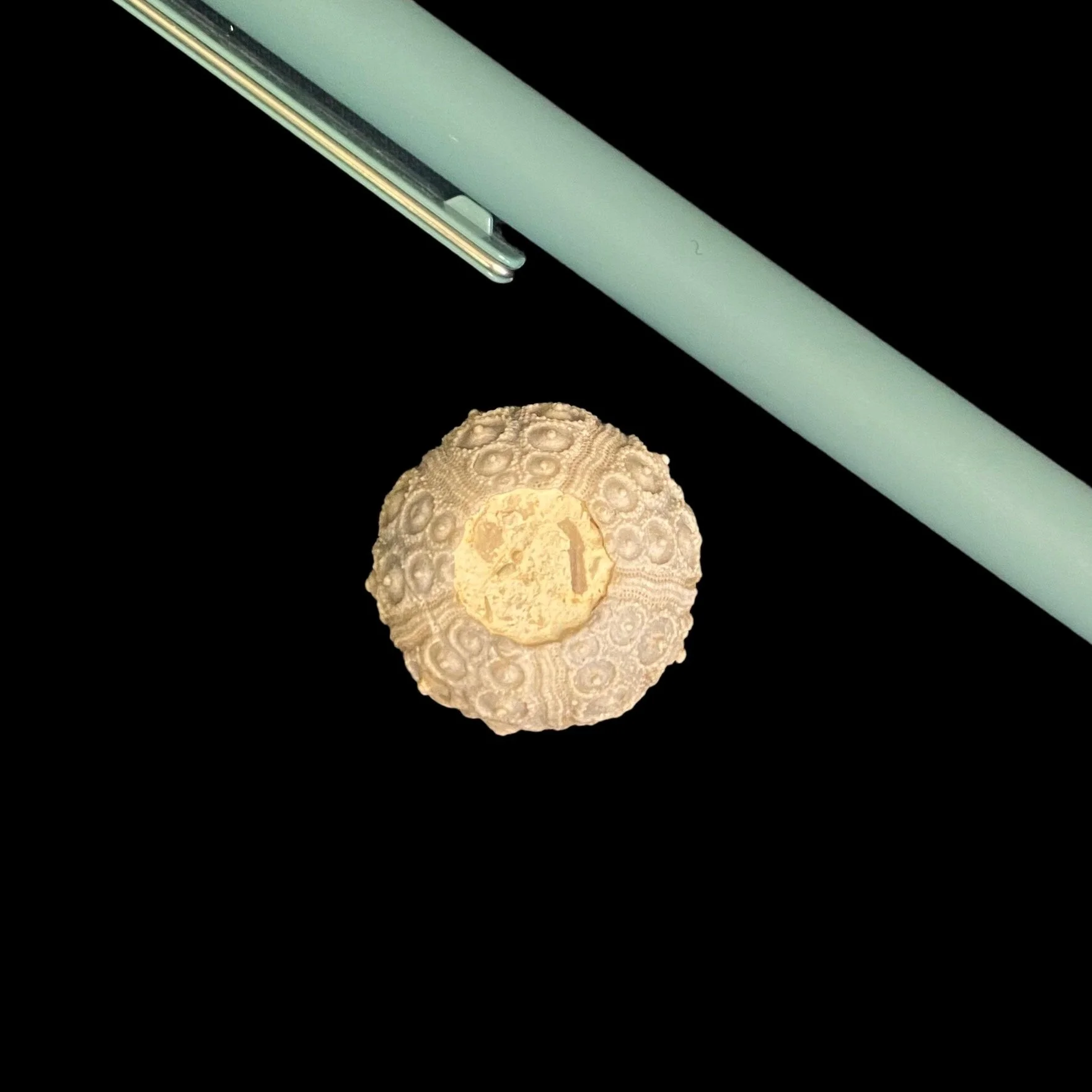 700-2298 (1).JPG