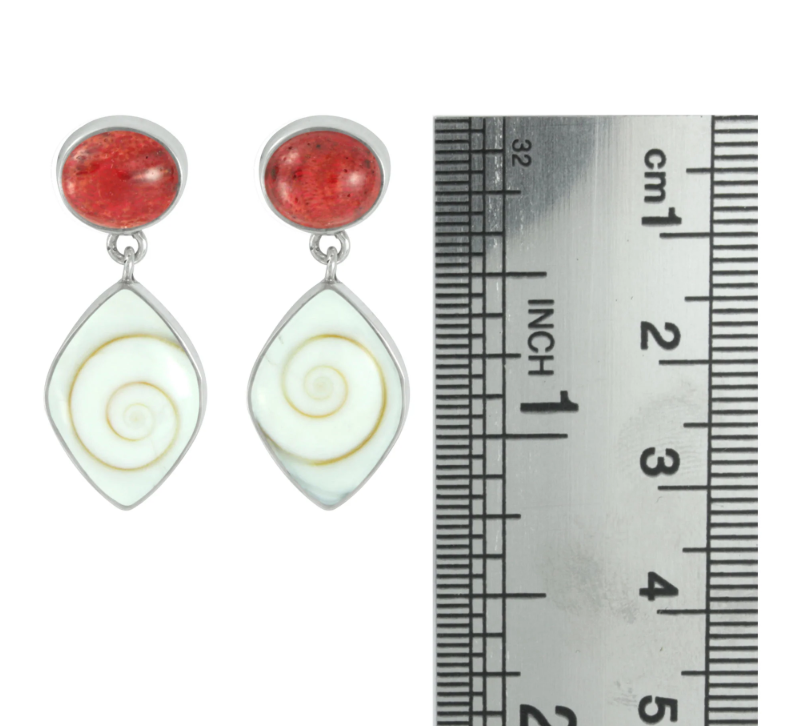e2352 sponge coral and spiral shell.png